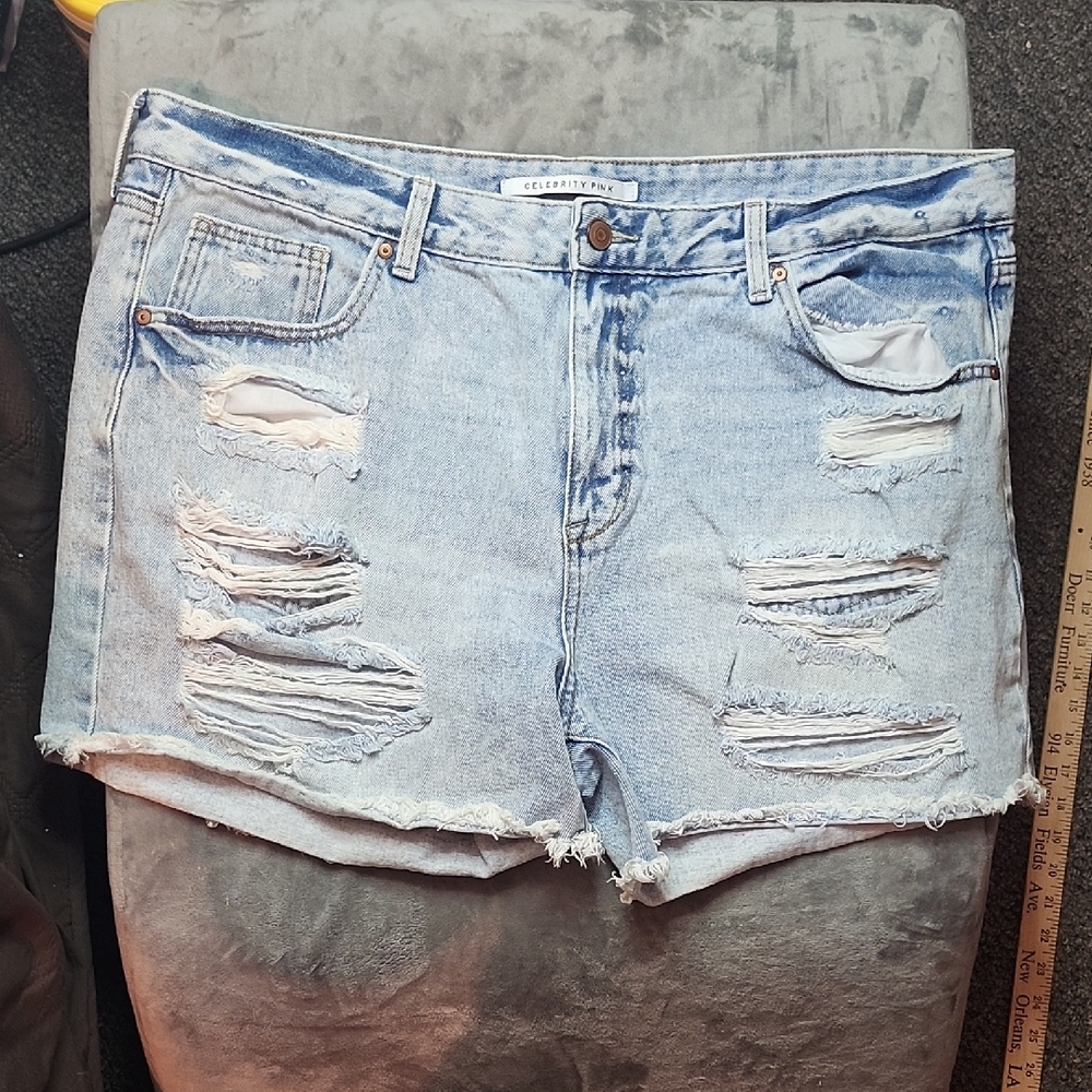 Celebrity Pink Shorts